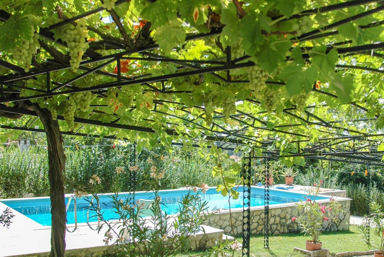 Villa Regina Serafina Bałczik Zewnętrze zdjęcie